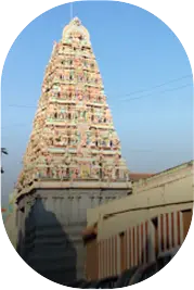 Mangadu
